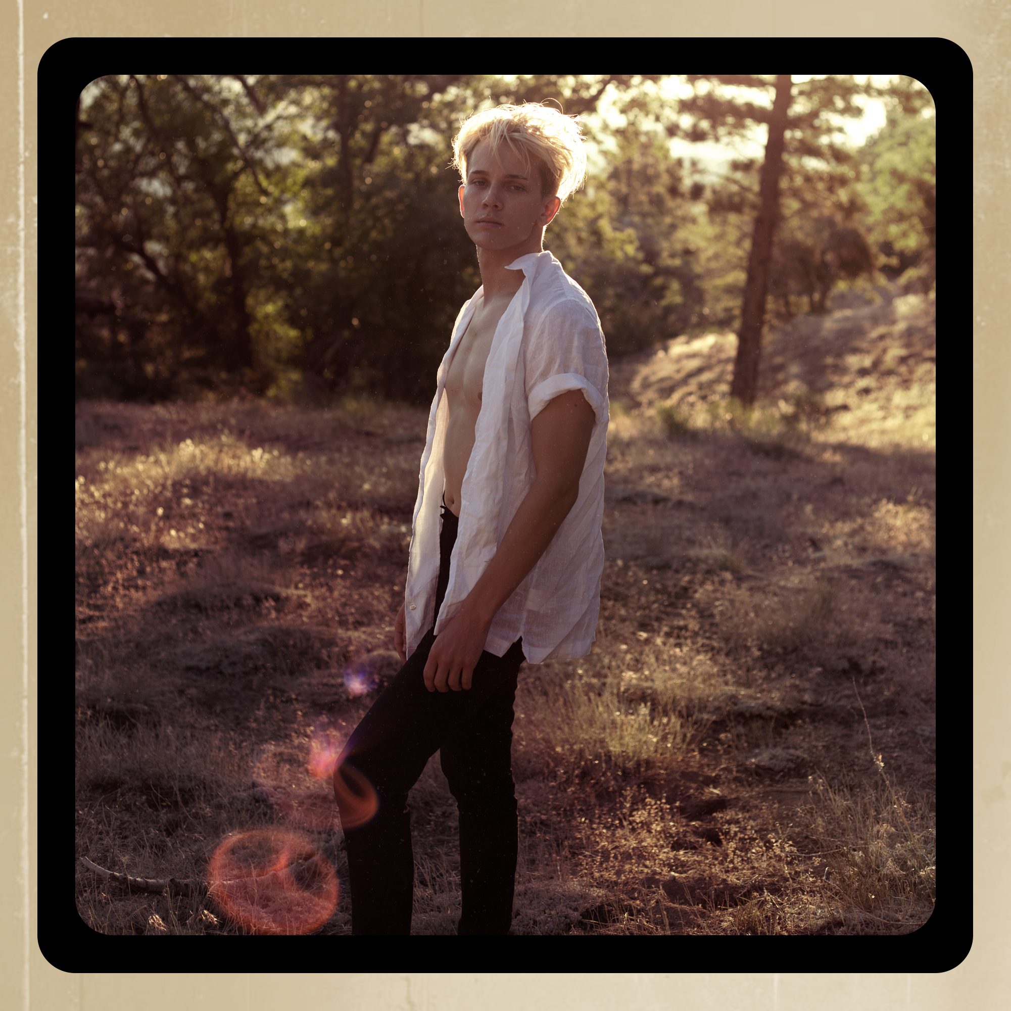The cover art for